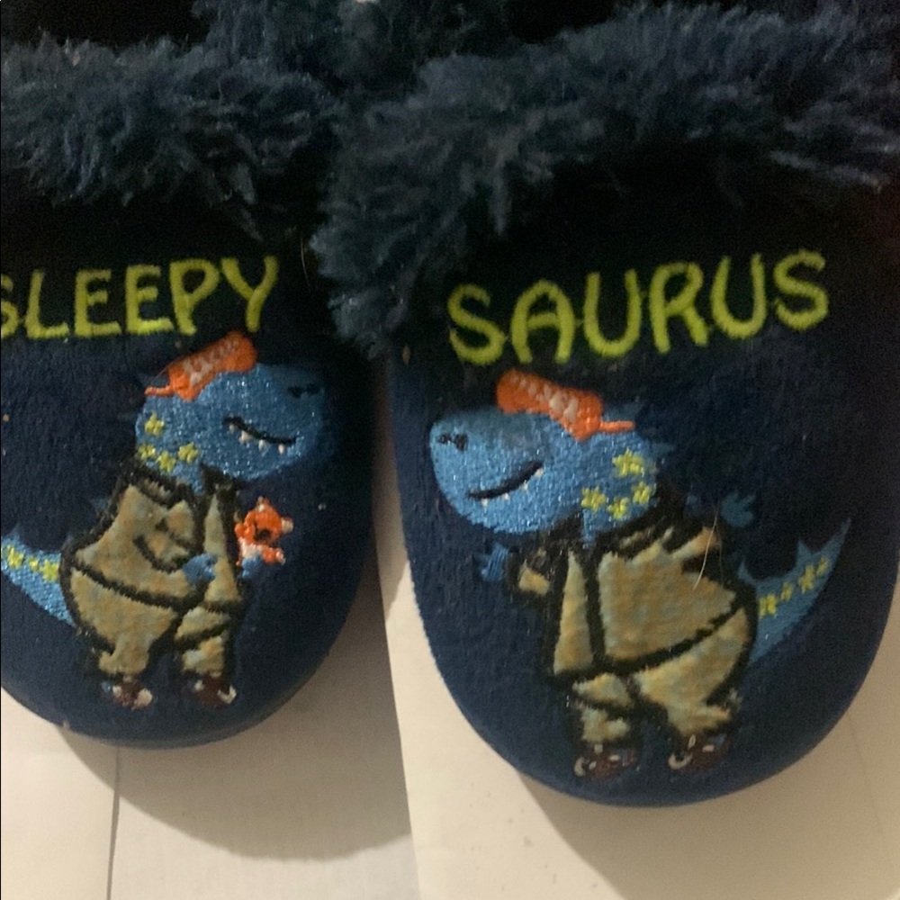 Sleepy Saurus Dinosaur Slippers by Wonder world.